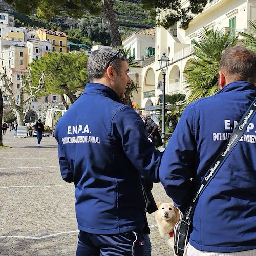 Volontari ENPA Costa d'Amalfi a Minori