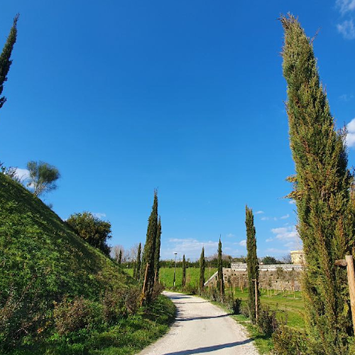 In occasione della Giornata nazionale del Paesaggio, a Pompei si inaugura il percorso verde extramoenia