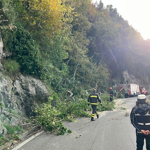 Maiori, rami rischiano di cadere lungo la SS 163: abbattuti dai vigili del fuoco<br />&copy; Massimiliano D'Uva
