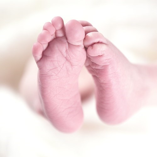 Neonato<br />&copy; Foto di Rainer Maiores da Pixabay