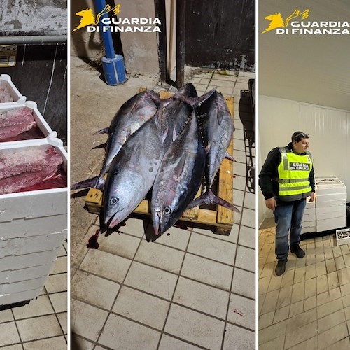 Napoli, sequestrata una tonnellata di pesce senza tracciabilità al mercato di Mugnano