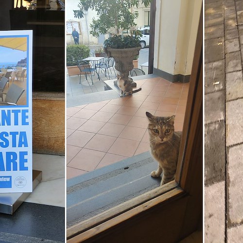 Ravello dice addio alla piccola Astra, la gattina mascotte di piazza Fontana Moresca
