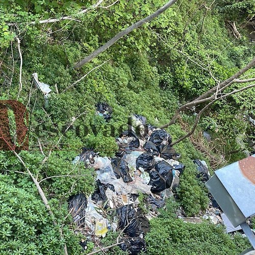 Discarica abusiva ad Erchie<br />&copy; Massimiliano D'Uva