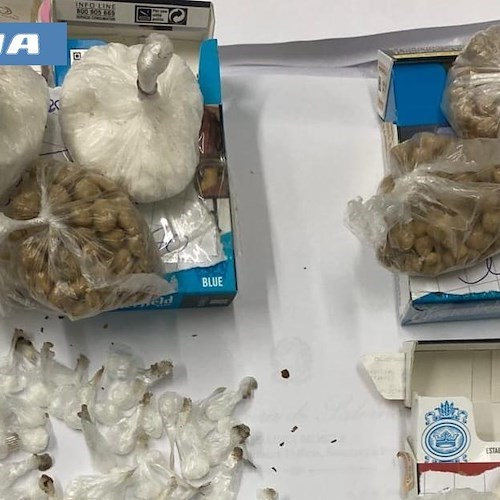 Salerno, arrestato con cocaina ed eroina: sequestrati oltre 1.100 euro in contanti