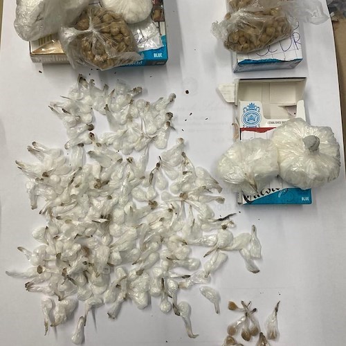Salerno, arrestato con cocaina ed eroina: sequestrati oltre 1.100 euro in contanti