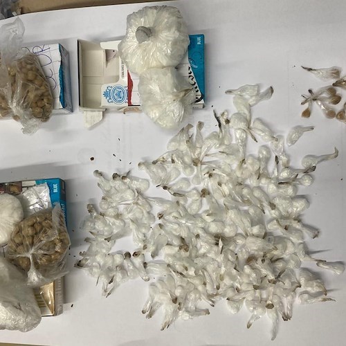 Salerno: traffico di droga e guida senza patente, arrestato 19enne dalla Polizia di Stato