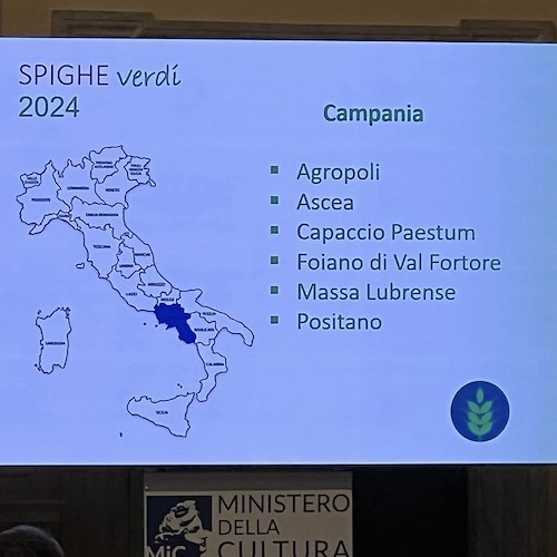 Spighe verdi 2024<br />&copy; Confagricoltura Salerno