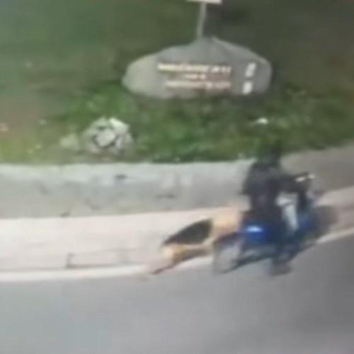 Trascina un cane per sei chilometri con l'e-bike: denunciato dog sitter nel napoletano