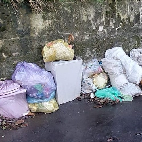 Vico Equense, individuati i responsabili dell'abbandono di rifiuti sulla strada tra Arola ed Alberi <br />&copy; Peppe Aiello